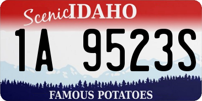 ID license plate 1A9523S