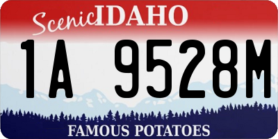 ID license plate 1A9528M