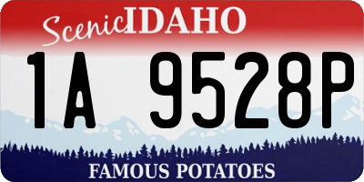 ID license plate 1A9528P