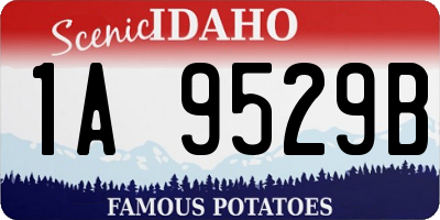 ID license plate 1A9529B