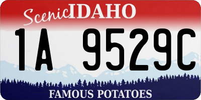 ID license plate 1A9529C