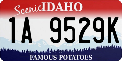 ID license plate 1A9529K
