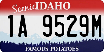 ID license plate 1A9529M
