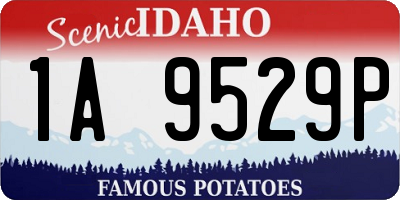 ID license plate 1A9529P