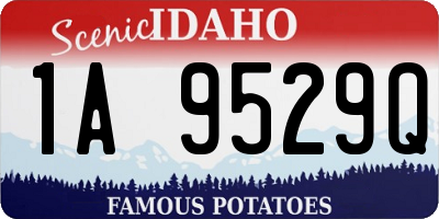 ID license plate 1A9529Q