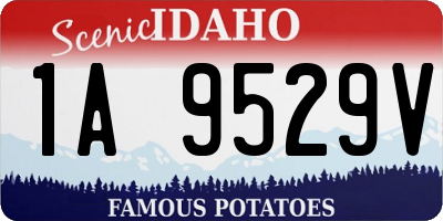 ID license plate 1A9529V