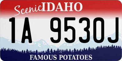 ID license plate 1A9530J