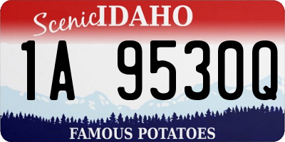 ID license plate 1A9530Q