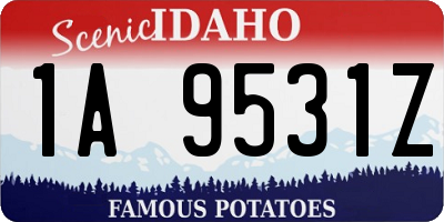 ID license plate 1A9531Z