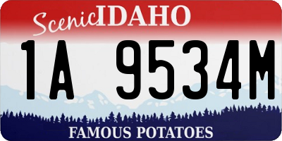 ID license plate 1A9534M