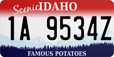 ID license plate 1A9534Z
