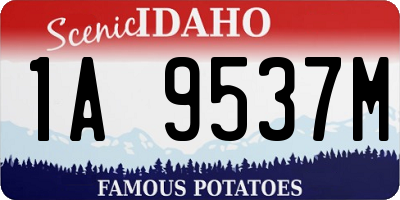 ID license plate 1A9537M
