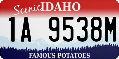 ID license plate 1A9538M