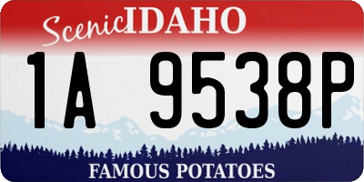 ID license plate 1A9538P