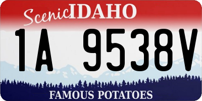 ID license plate 1A9538V