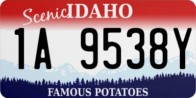 ID license plate 1A9538Y