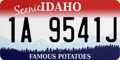 ID license plate 1A9541J