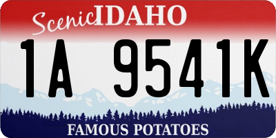 ID license plate 1A9541K