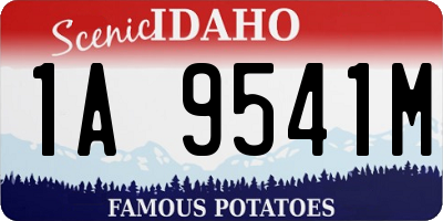 ID license plate 1A9541M