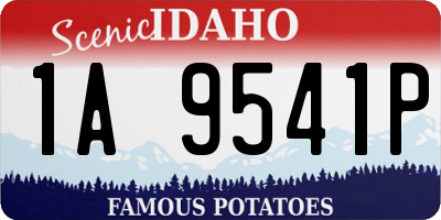 ID license plate 1A9541P