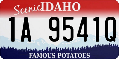 ID license plate 1A9541Q
