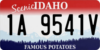 ID license plate 1A9541V