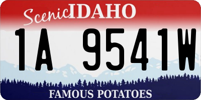 ID license plate 1A9541W