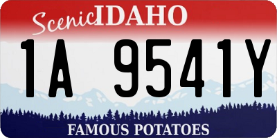 ID license plate 1A9541Y
