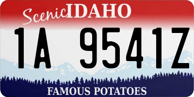 ID license plate 1A9541Z