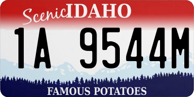 ID license plate 1A9544M