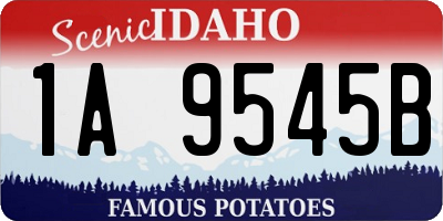 ID license plate 1A9545B
