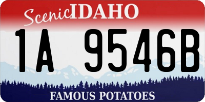 ID license plate 1A9546B