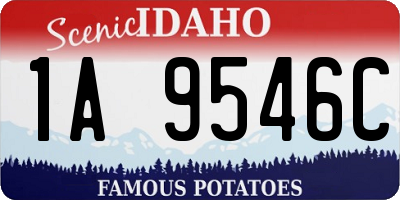 ID license plate 1A9546C