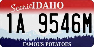 ID license plate 1A9546M