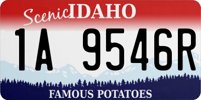 ID license plate 1A9546R