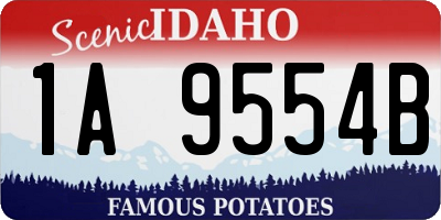 ID license plate 1A9554B