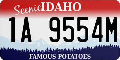 ID license plate 1A9554M