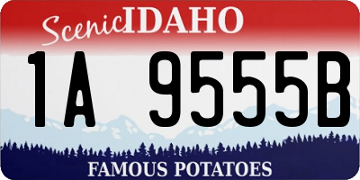 ID license plate 1A9555B