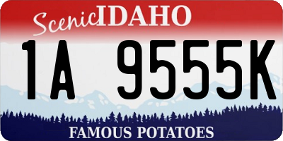 ID license plate 1A9555K