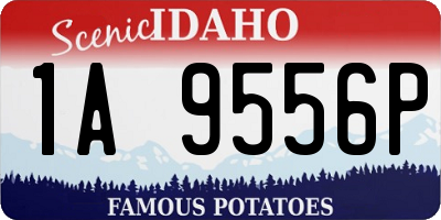 ID license plate 1A9556P