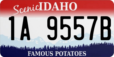 ID license plate 1A9557B
