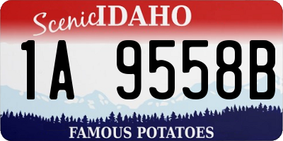 ID license plate 1A9558B