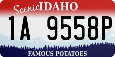 ID license plate 1A9558P