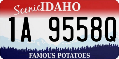 ID license plate 1A9558Q