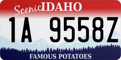 ID license plate 1A9558Z