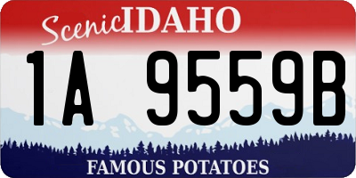 ID license plate 1A9559B
