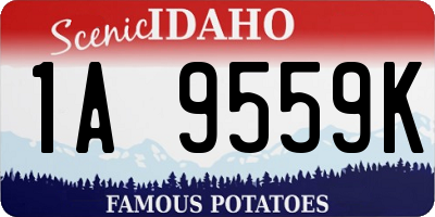 ID license plate 1A9559K