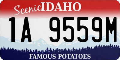 ID license plate 1A9559M