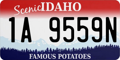 ID license plate 1A9559N