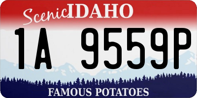 ID license plate 1A9559P